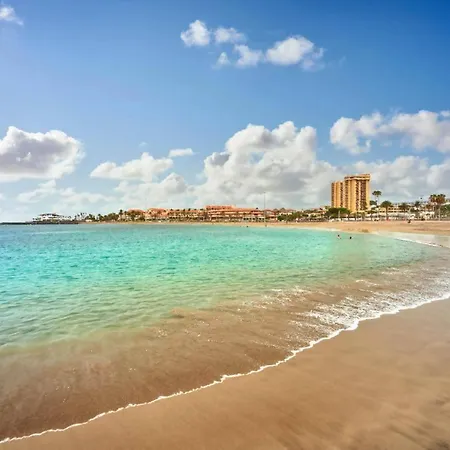 Vistas Cristianos By Welcome Tenerife